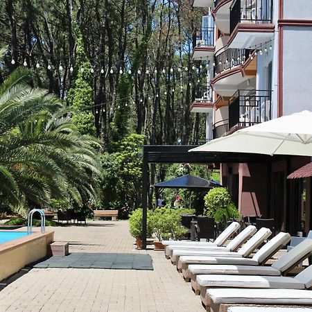 Iveria Elli Hotel Shekhvetili Exteriör bild
