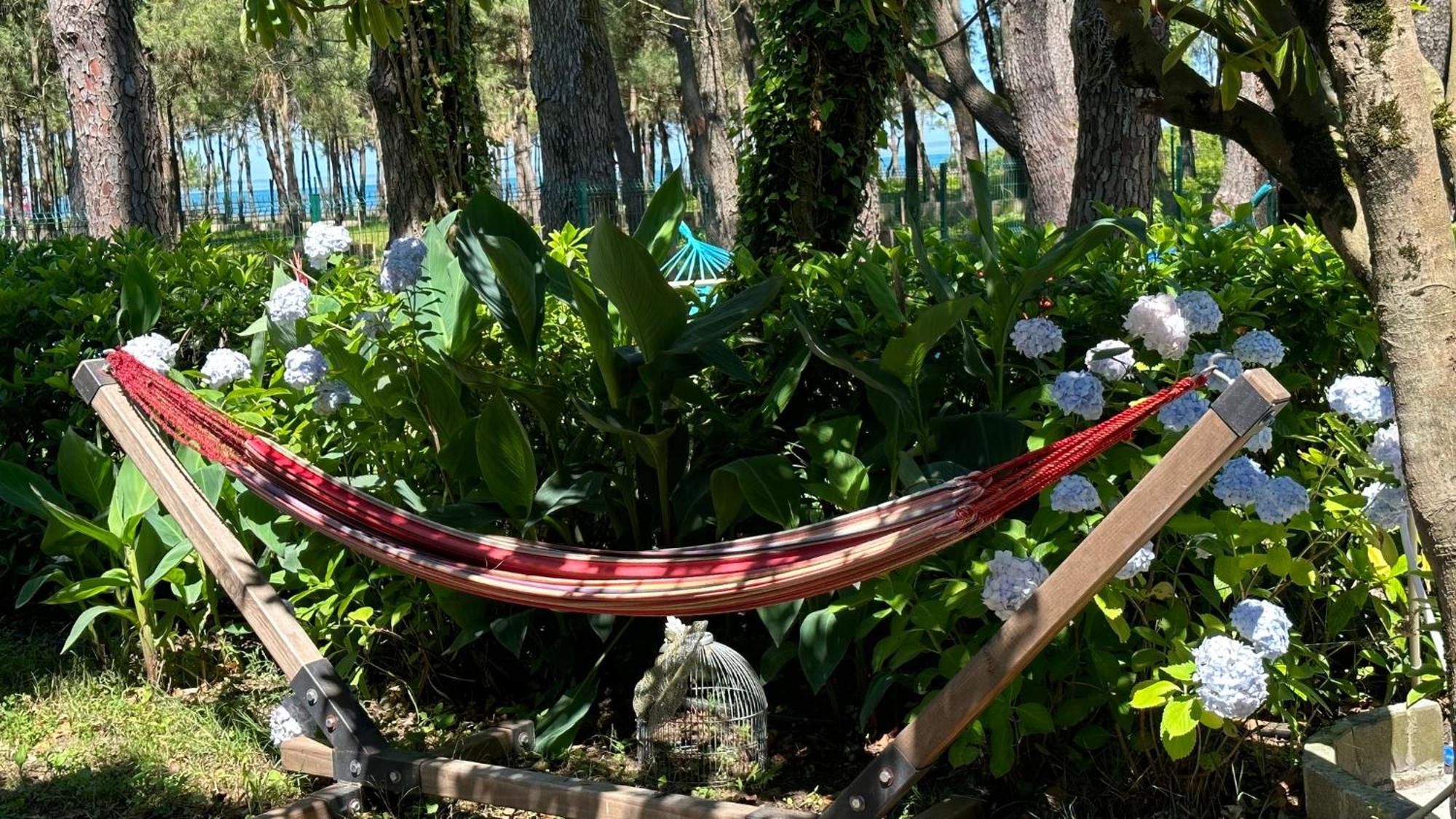 Iveria Elli Hotel Shekhvetili Exteriör bild