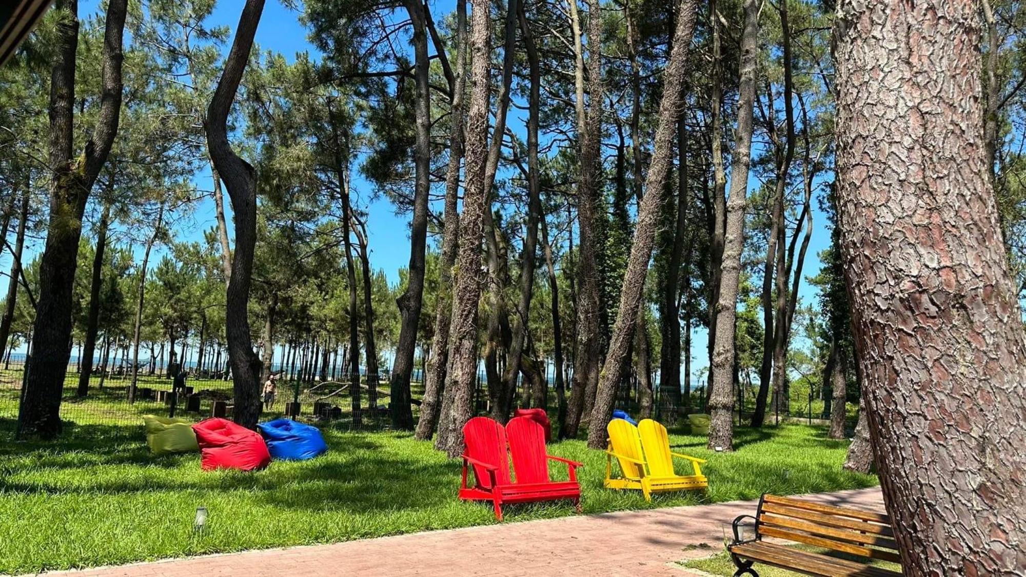 Iveria Elli Hotel Shekhvetili Exteriör bild