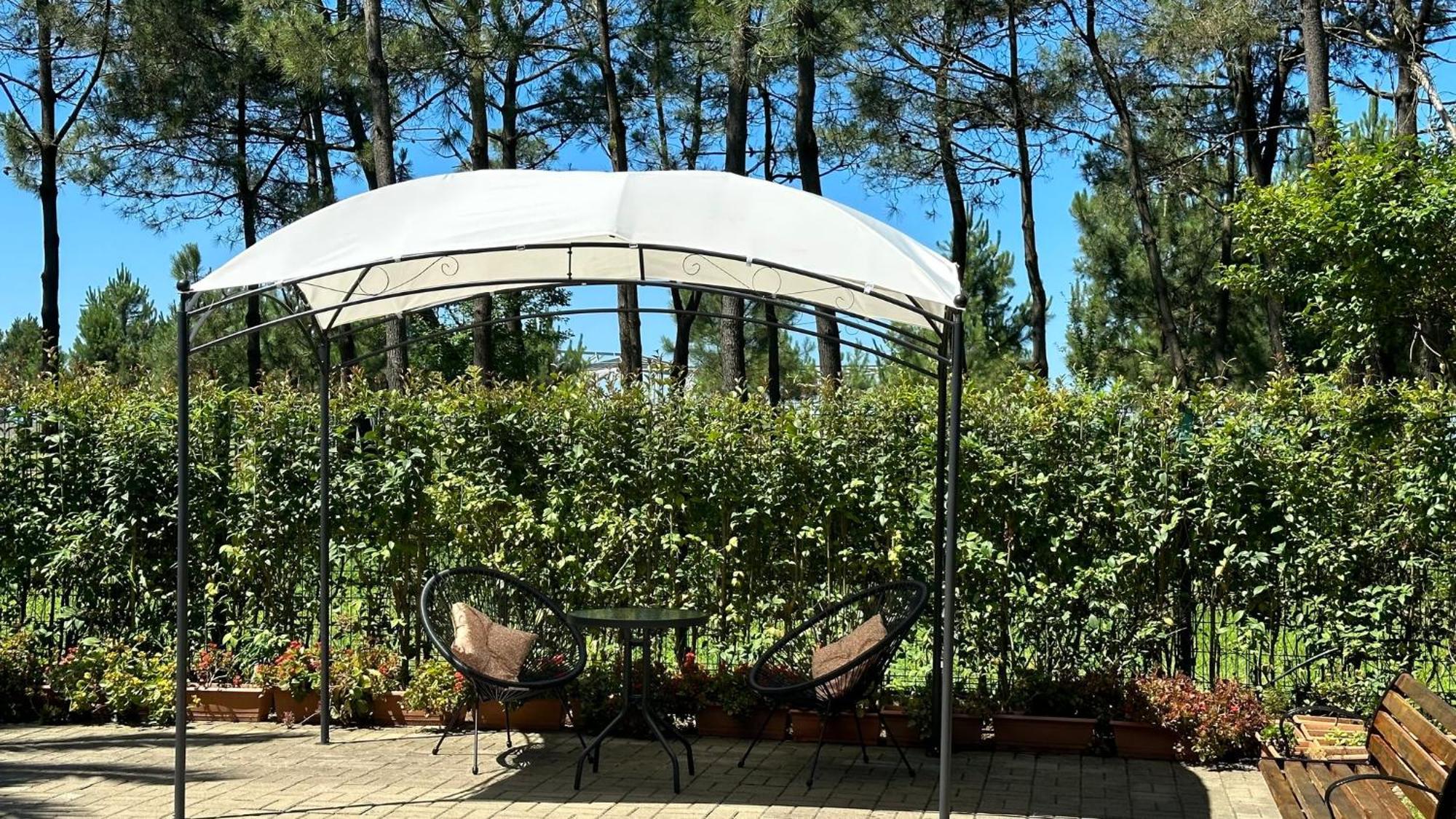Iveria Elli Hotel Shekhvetili Exteriör bild